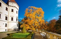 Замок Конопиште