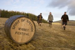 Фестиваль виски в Великобритании