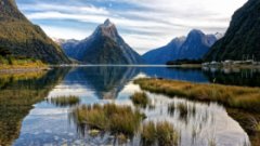 Индивидуальные туры в Новую Зеландию