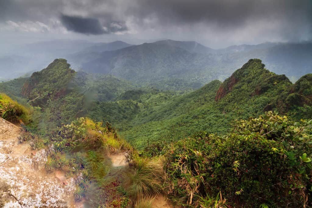 Ель-Юнке - природний скарб Пуерто-Ріко